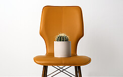 “Zo blij had ik dit maar eerder geweten”